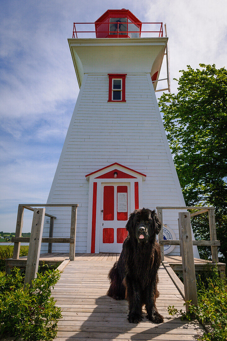 Victoria Seaport Lighthouse Museum mit Neufundländerhund "Charley" am Eingang; Prince Edward Island, Kanada.