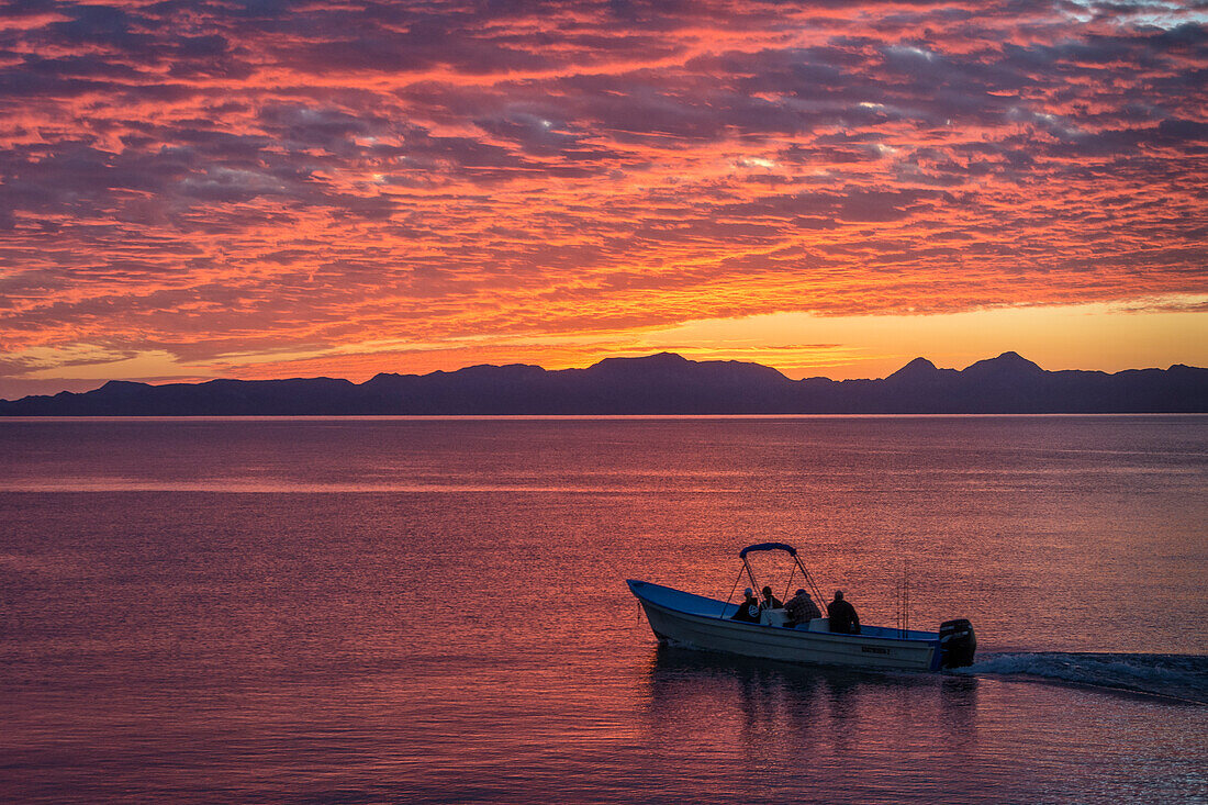 Panga auf dem Weg zur Walbeobachtung in der Sea of Cortez bei Sonnenaufgang, Loreto, Baja California Sur, Mexiko.