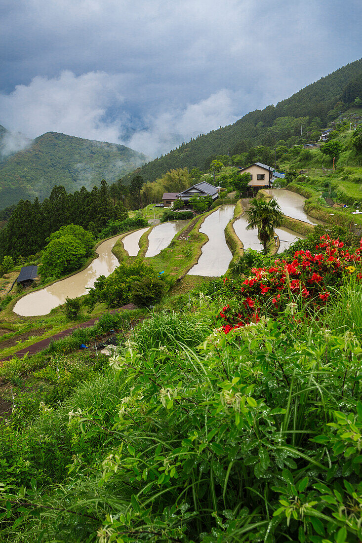 Das Dorf Takahara. Kleines Dorf auf einem Bergrücken entlang der Kumano Kodo Pilgerroute. UNESCO-Weltkulturerbe. Nakahechi. Präfektur Wakayama. Halbinsel Kii. Kansai-Region. Insel Honshü . Japan