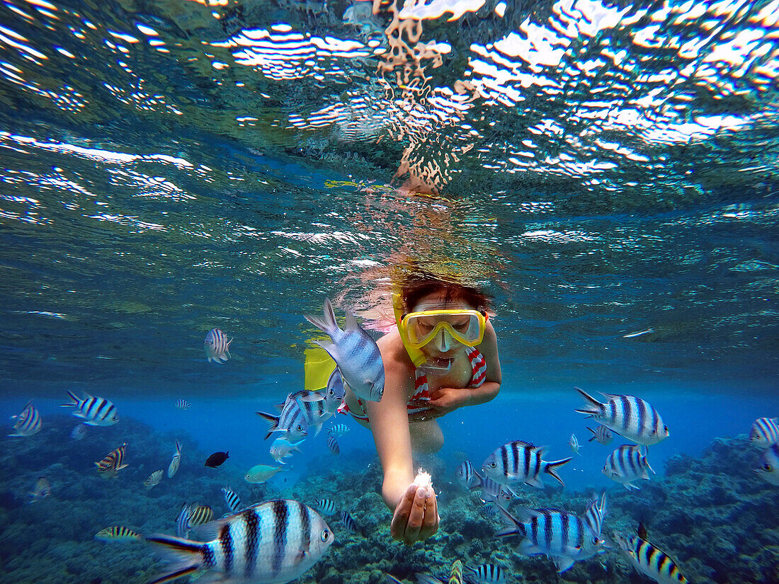 Schnorchelausflug in den seichten Gewässern der Lagune von Bora Bora, Moorea, Französisch-Polynesien, Gesellschaftsinseln, Südpazifik. Cooks Bucht.