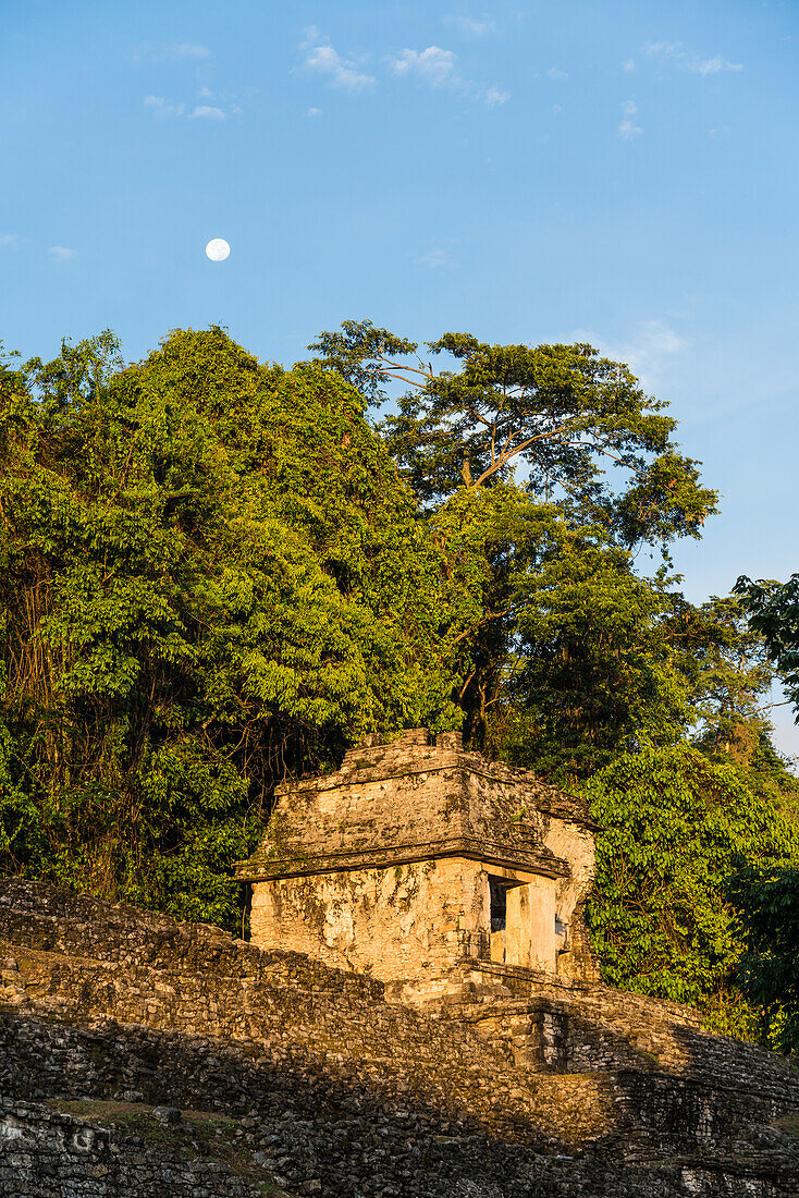 The Temple of the Skull, or Temple XII, in the ruins of the Mayan city of Palenque, Palenque National Park, Chiapas, Mexico. A UNESCO World Heritage Site.