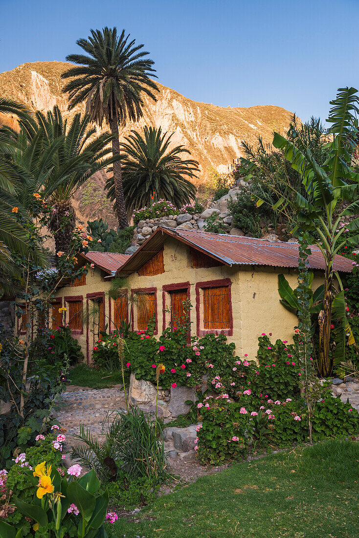 Accommodation in Sangalle, Colca Canyon, Peru
