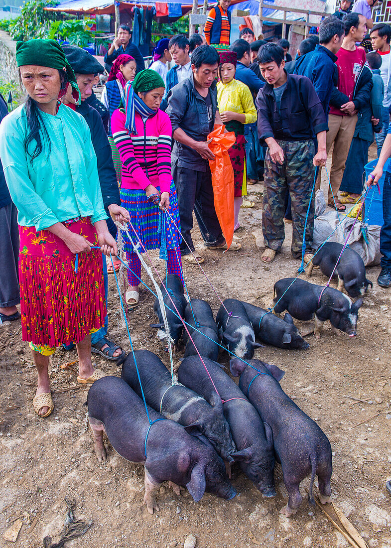 Der Wochenendmarkt in Dong Van in Vietnam