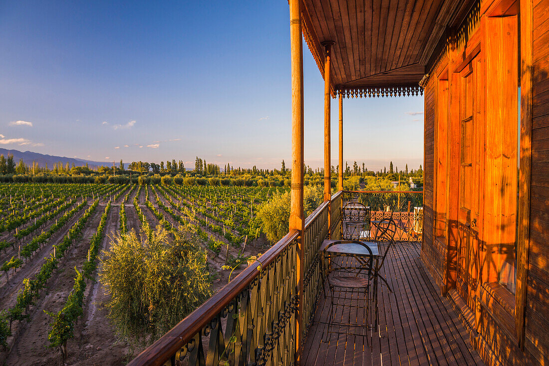 Balkon mit Blick auf die Weinberge im Resort Club Tapiz, einer Bodega (Weinkellerei) in der Gegend von Maipu in Mendoza, Provinz Mendoza, Argentinien