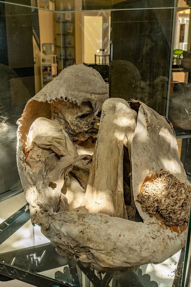 Die Mumie eines jugendlichen Inka-Jungen, der in den Anden in der Nähe von Calingasta, Argentinien, als Opfergabe dargebracht wurde.