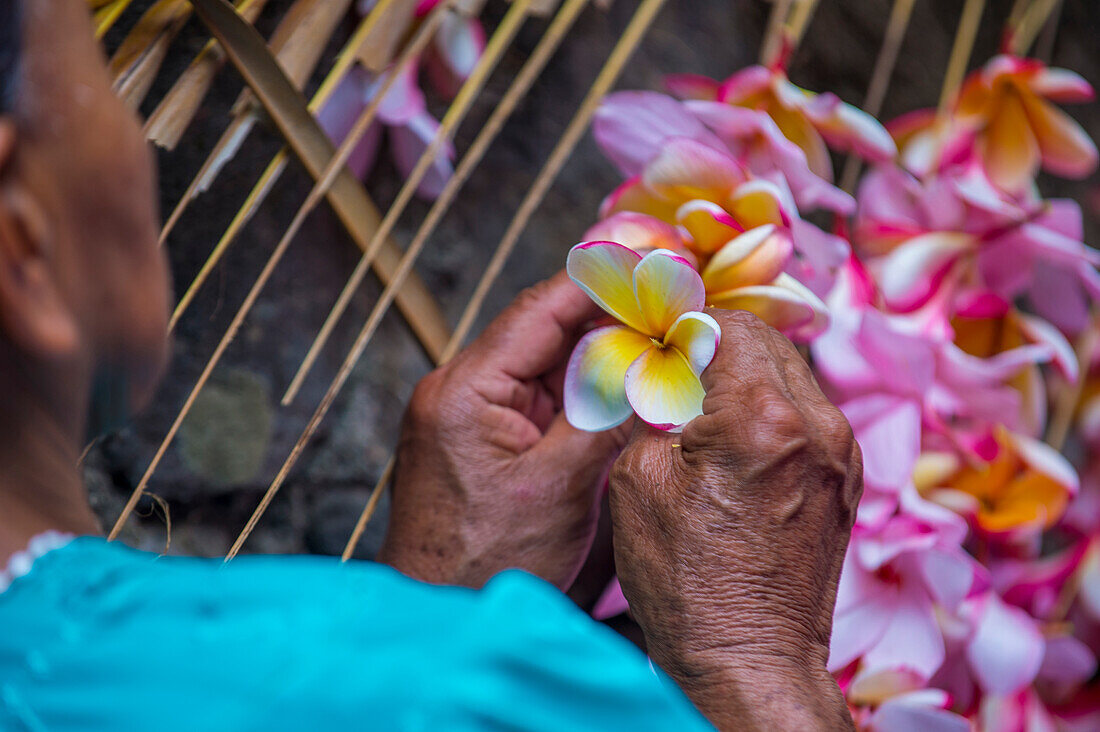 Nahaufnahme einer salvadorianischen Frau, die während des Blumen- und Palmenfestes in Panchimalco, El Salvador am 08. Mai 2016 Palmwedel mit Blumen schmückt