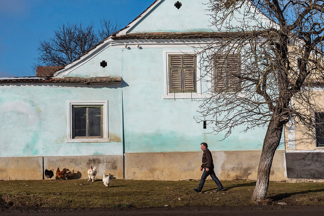 Bunte Häuser in Viscri, UNESCO-Weltkulturerbe, Siebenbürgen, Rumänien