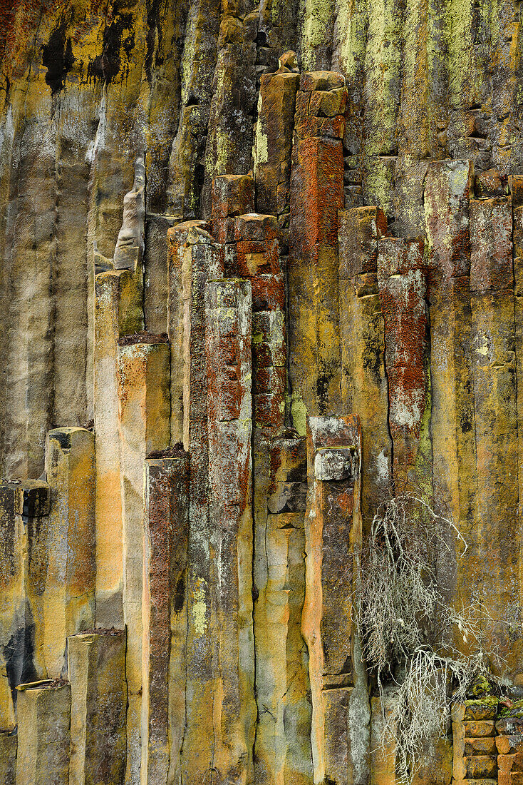 Mit Flechten bedeckter Säulenbasalt bei Soda Springs am North Umpqua River; Umpqua National Forest, Oregon.