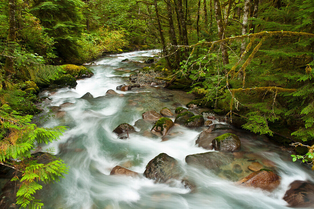 North Fork Cascade River, Mount Baker-Snoqualmie National Forest, North Cascades, Washington.