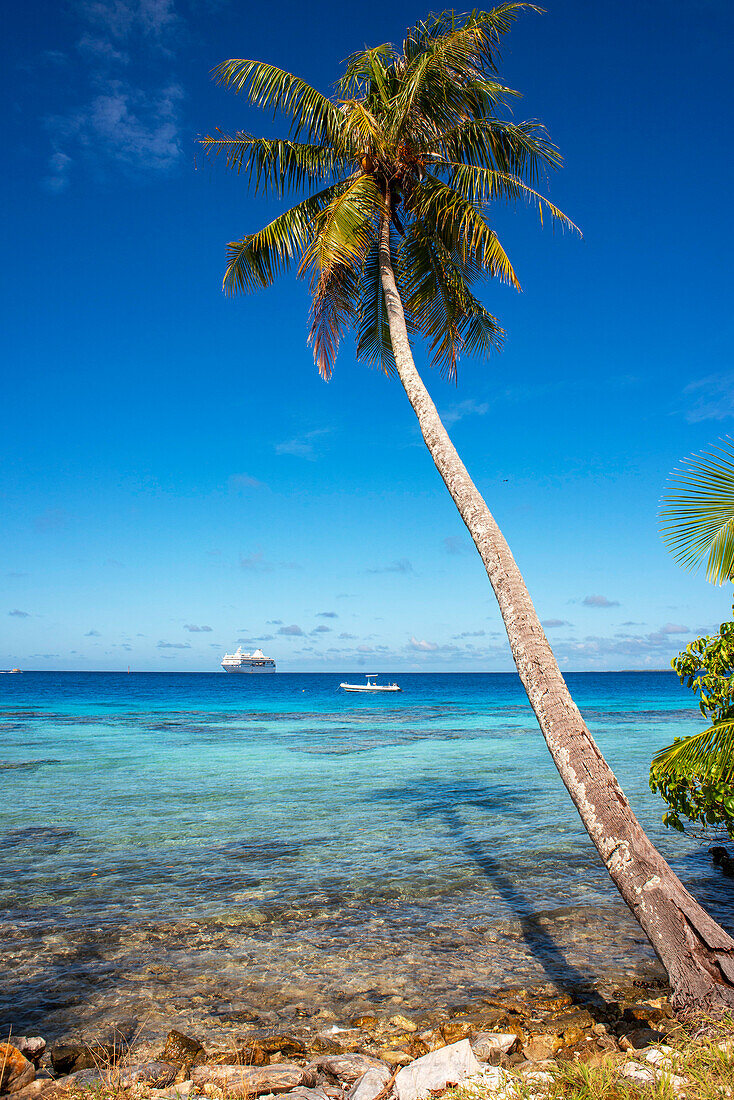 Tropische Palmen und die Lagune von Fakarava, Tuamotus-Archipel, Französisch-Polynesien, Tuamotu-Inseln, Südpazifik. Konzept für den Sommerurlaub. Tropische Kokospalmen, Korallengärten, schönes türkisfarbenes klares Wasser und blauer Himmel mit einigen weißen Wolken. Fakarava, ein Atoll im Westen der Tuamotu-Gruppe, Französisch-Polynesien