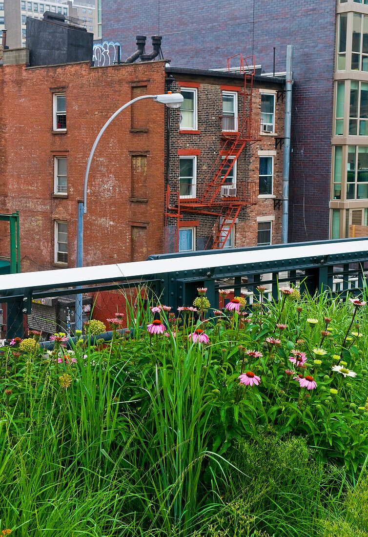The High Line Park in New York. The High Line is a public park built on an historic freight rail line elevated above the streets on Manhattans West Side.