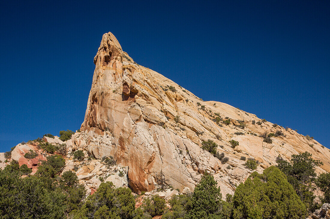 Erodierte Sandsteinformationen im Muley Twist Canyon im Capitol Reef National Park in Utah.