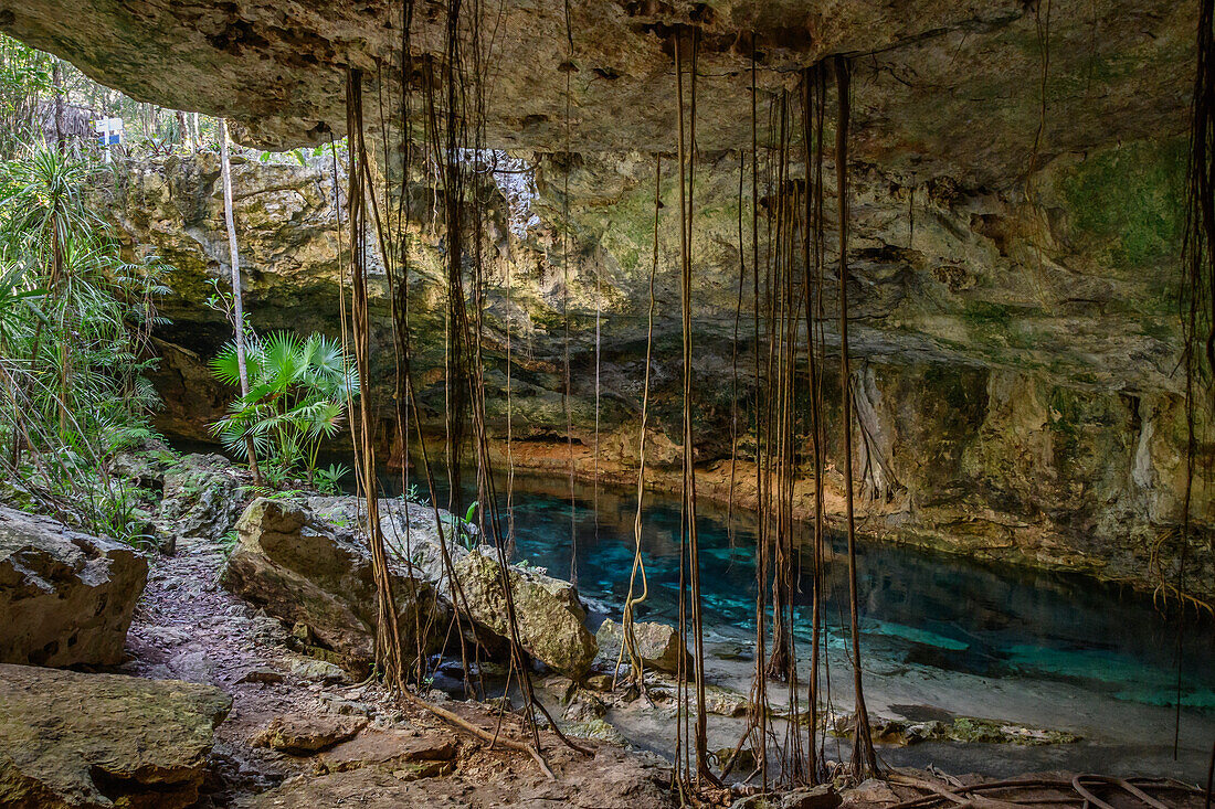 Chikin-Ha Cenote und unterirdischer Fluss; Riviera Maya, Halbinsel Yucatan, Mexiko.