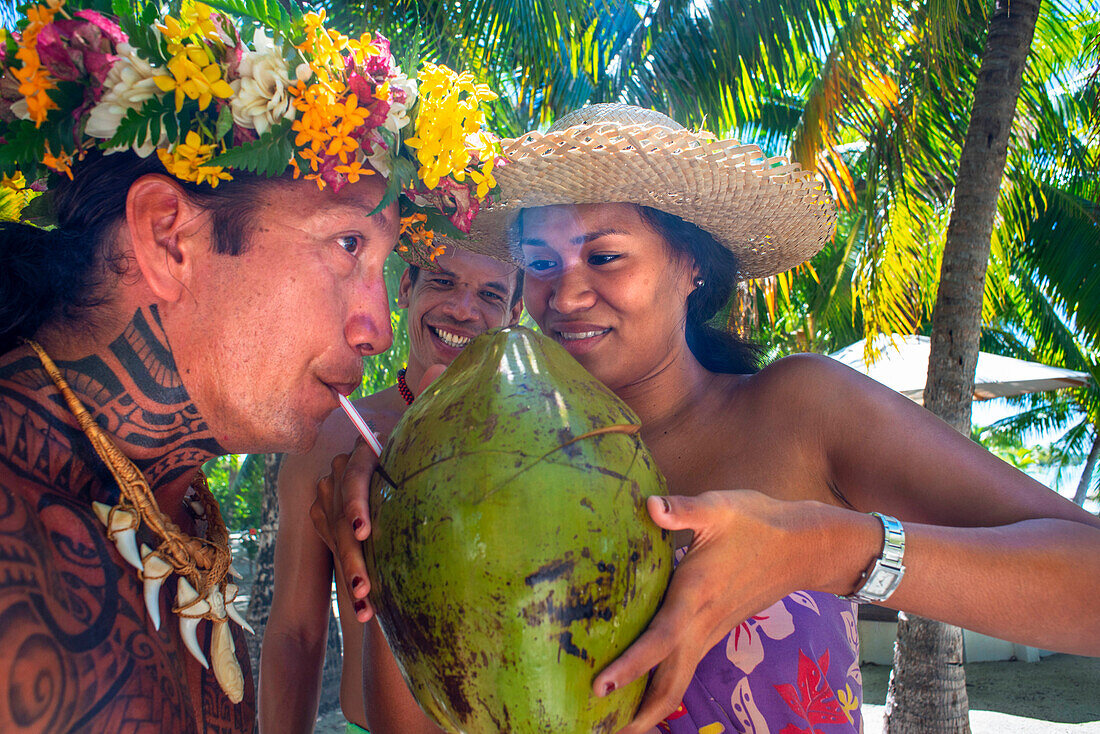 Trinken von Kokosnussmilch in Fakarava, Tuamotus-Archipel Französisch-Polynesien, Tuamotu-Inseln, Südpazifik.