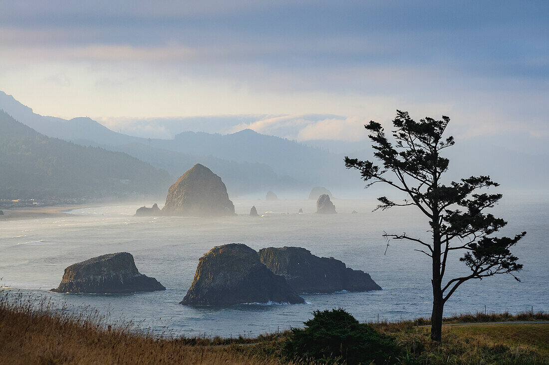 Uferkiefer und Blick auf den Haystack Rock in Cannon Beach vom Ecola State Park aus, Nordküste von Oregon.