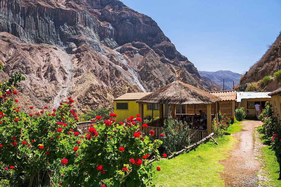 Colca-Schlucht, Peru