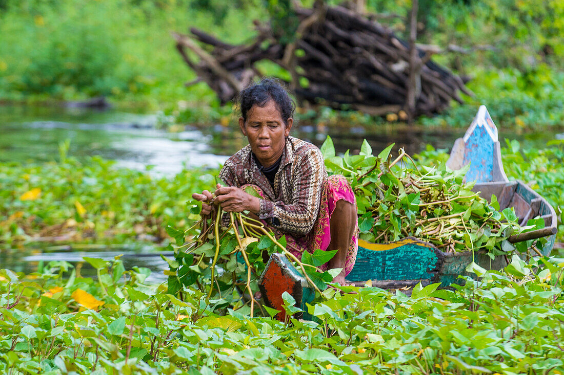 The Tonle sap lake Cambodia