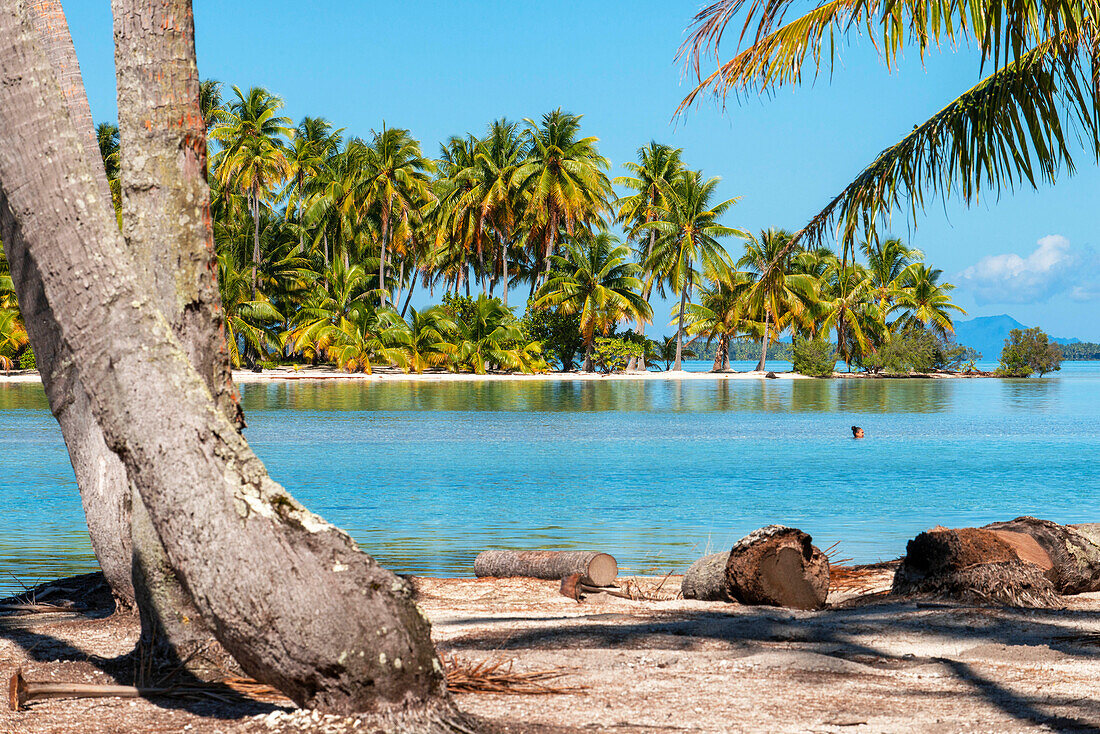 Island of Taha’a, French Polynesia. Motu … – License image – 13845832 ...