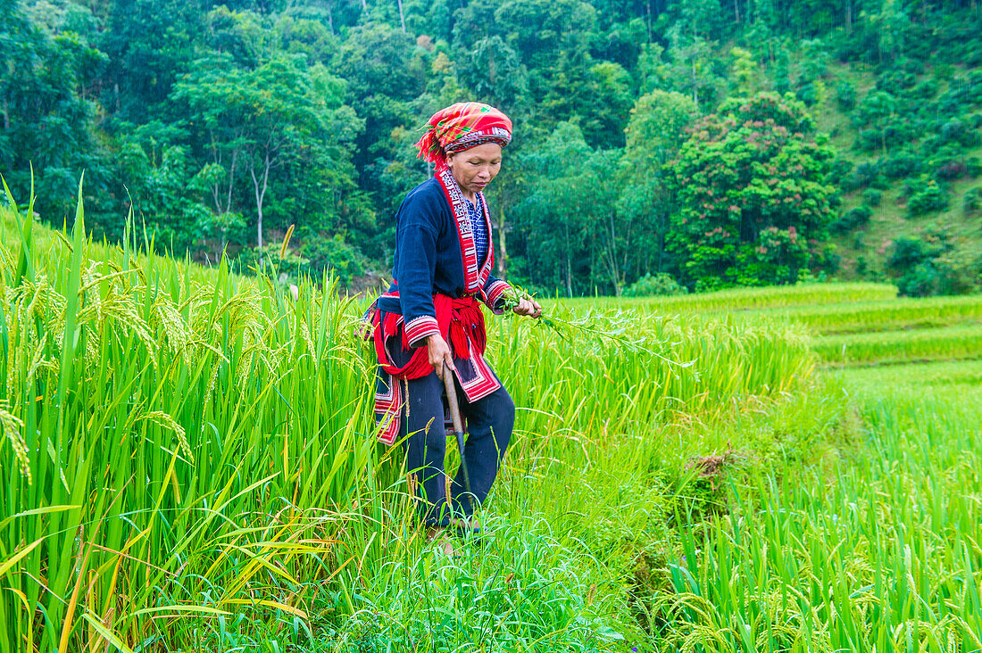 Frau aus der Minderheit der Roten Dao in einem Dorf bei Ha Giang in Vietnam