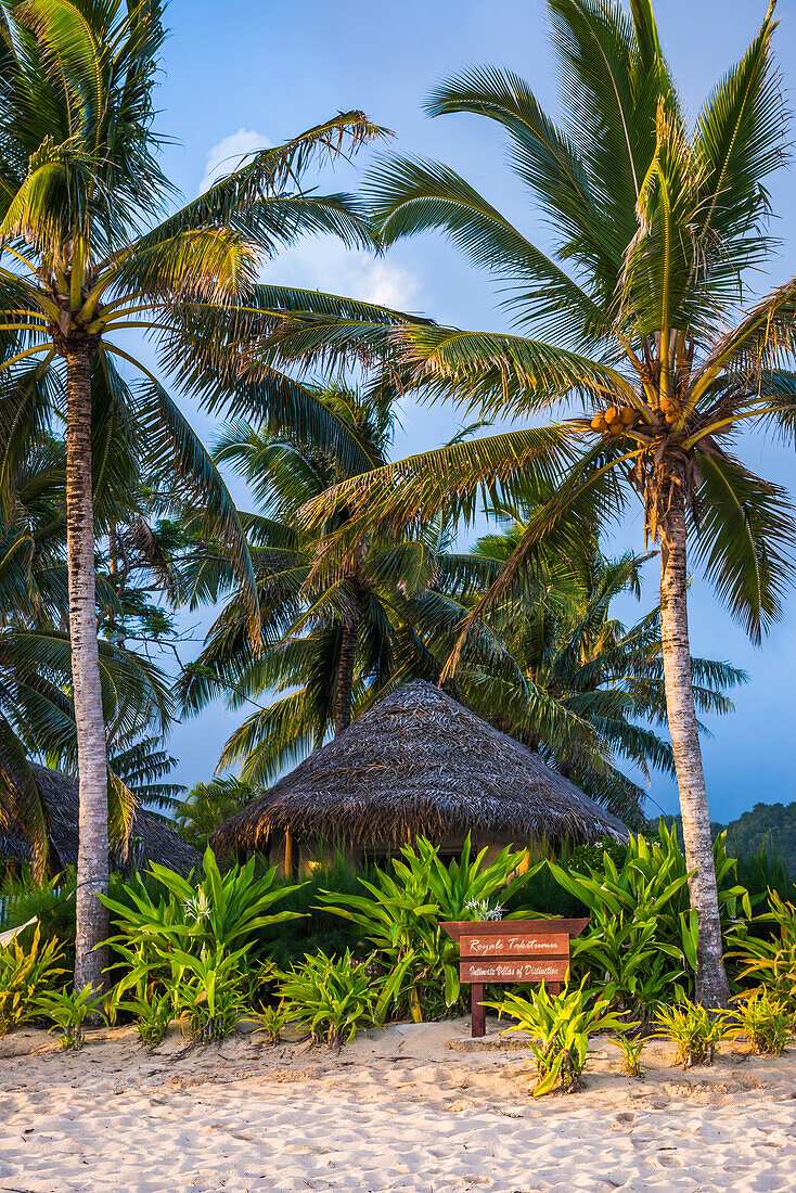 Beach front villa under a tropical palm tree, Titikaveka, Rarotonga, Cook Islands, South Pacific Ocean
