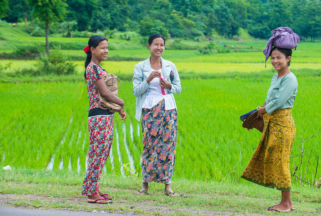 Burmese farmers working at a rice field in Shan state Myanmar