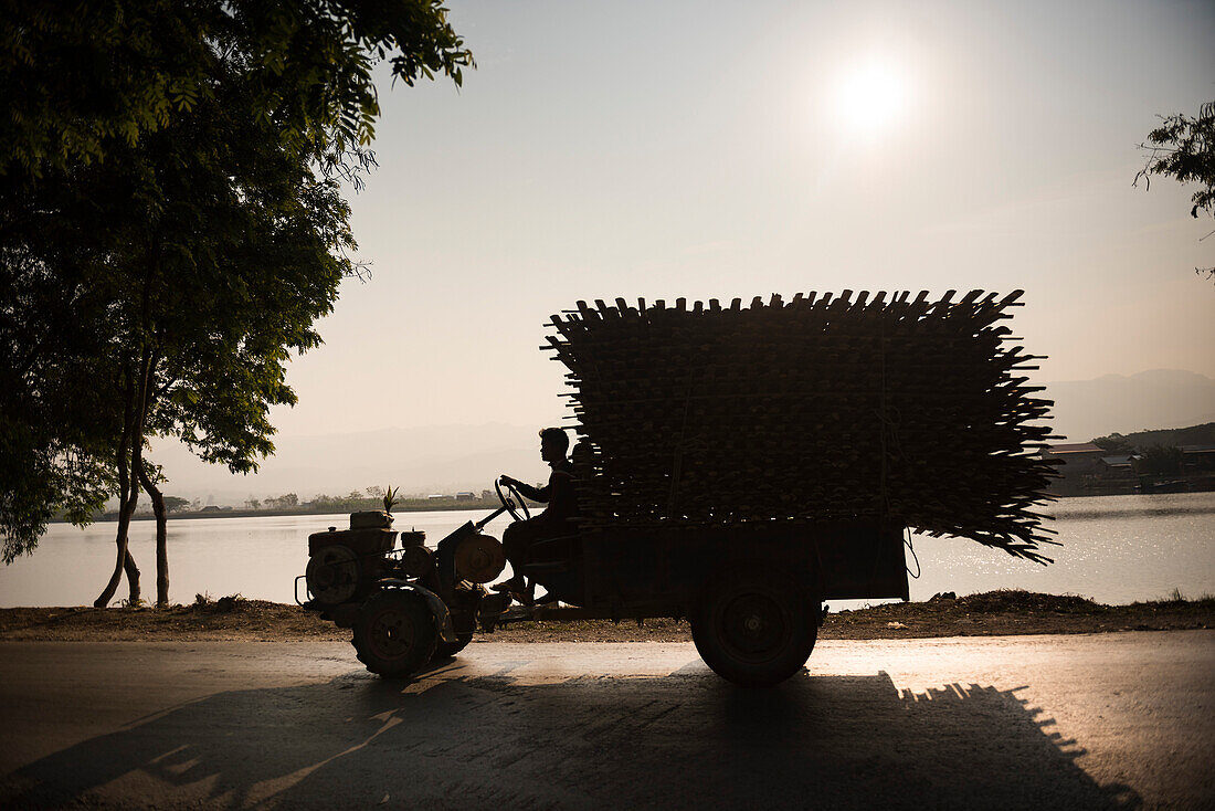 Farmer on tractor at sunset, Inle Lake, Shan State, Myanmar (Burma)
