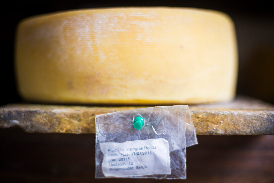 Cheese maturing in the cheese factory on the farm at Hacienda Zuleta, Imbabura, Ecuador, South America