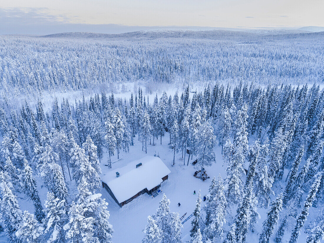 Aerial photo of a snow covered winter forest full of trees at sunset in the Arctic Circle in Finnish Lapland, Finland drone