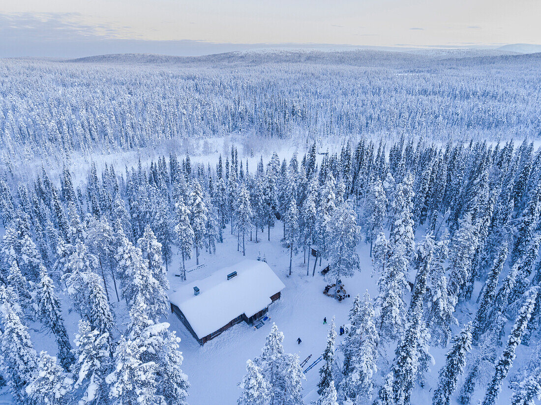 Luftaufnahme eines schneebedeckten Winterwaldes voller Bäume bei Sonnenuntergang am Polarkreis in Finnisch-Lappland, Finnland Drohne