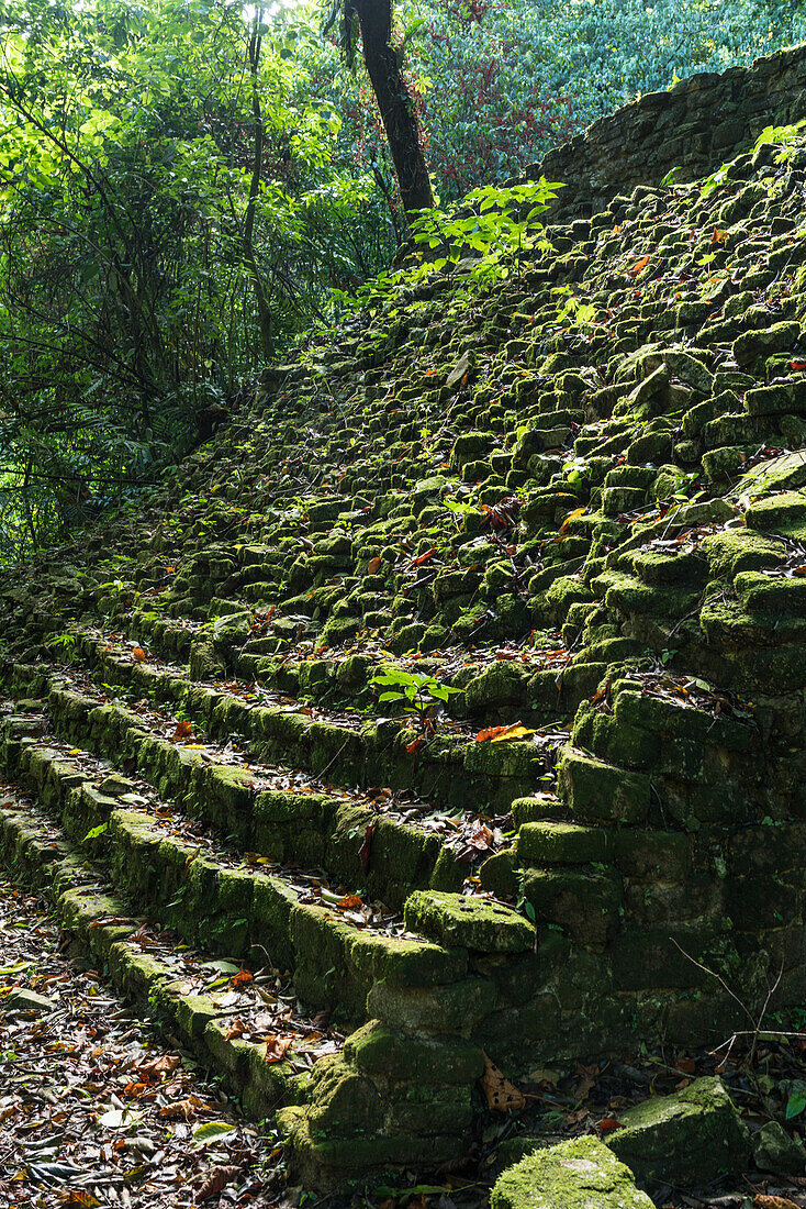 Steile Treppe zum Tempel der Krieger, oder Tempel XVII, in den Ruinen der Maya-Stadt Palenque, Palenque-Nationalpark, Chiapas, Mexiko. Eine UNESCO-Welterbestätte.