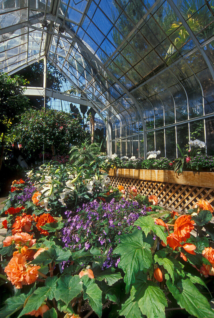 W.W. Seymour Botanical Conservatory at Wright Park; Tacoma, Washington.