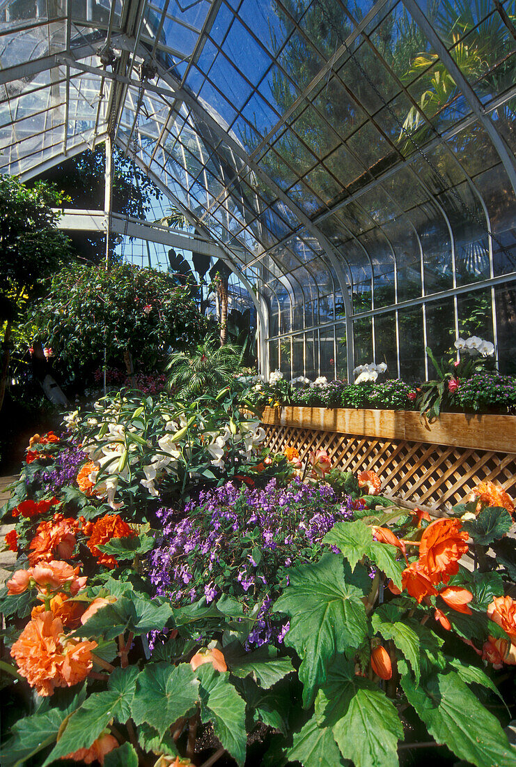 W.W. Seymour Botanical Conservatory im Wright Park; Tacoma, Washington.