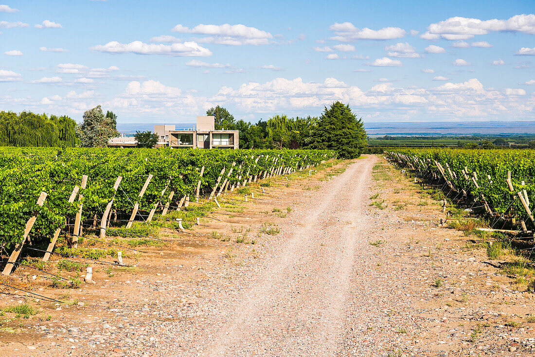 Bodega La Azul, ein Weingut im Uco-Tal (Valle de Uco), einer Weinregion in der Provinz Mendoza, Argentinien