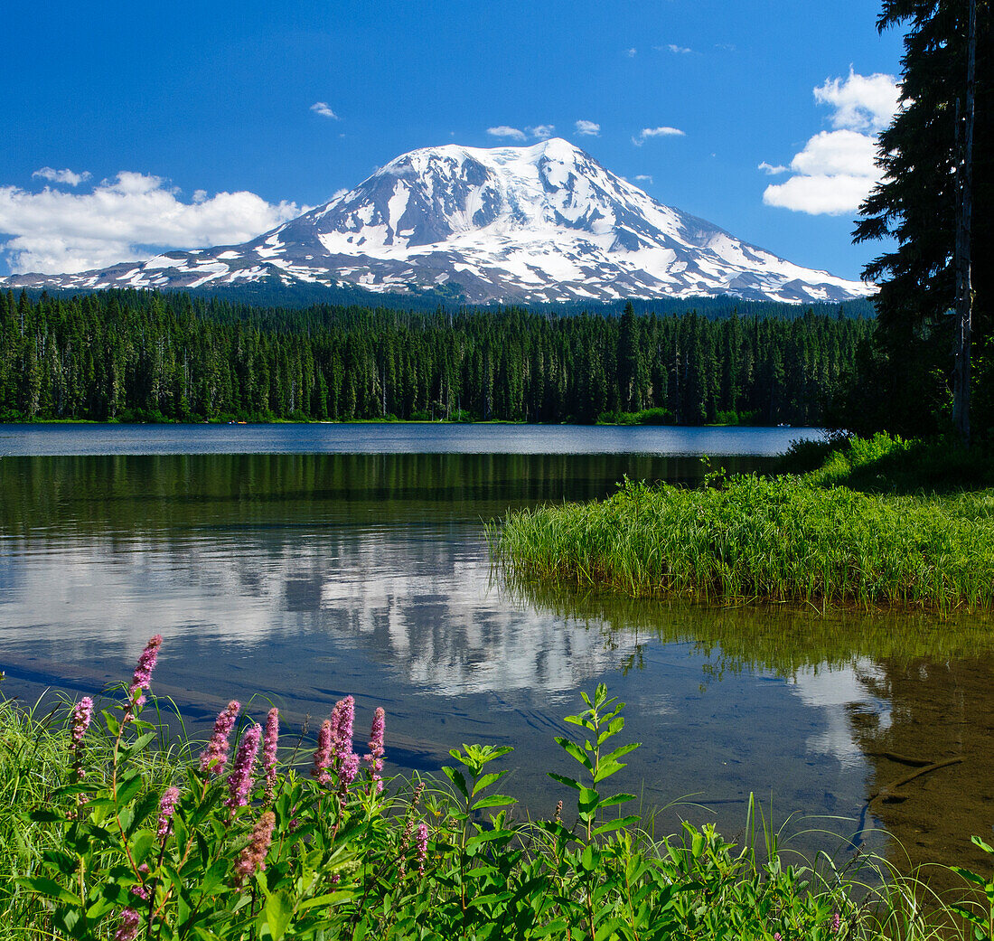 Takhlakh Lake und Mount Adams, Gifford Pinchot National Forest, Washington.