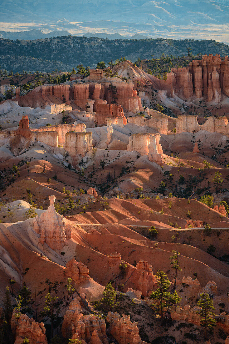 Bryce Canyon bei Sonnenaufgang vom Sunset Point aus; Bryce Canyon National Park, Utah.