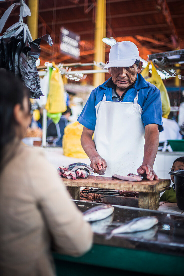 Fish counter, San Camilo Market (Mercado San Camilo), Arequipa, Peru