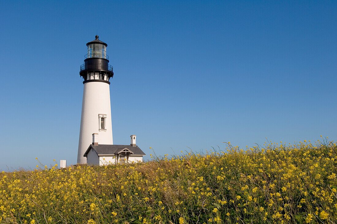 Yaquina Head Lighthouse and Yaquina Head Outstanding Natural Area, central Oregon Coast.