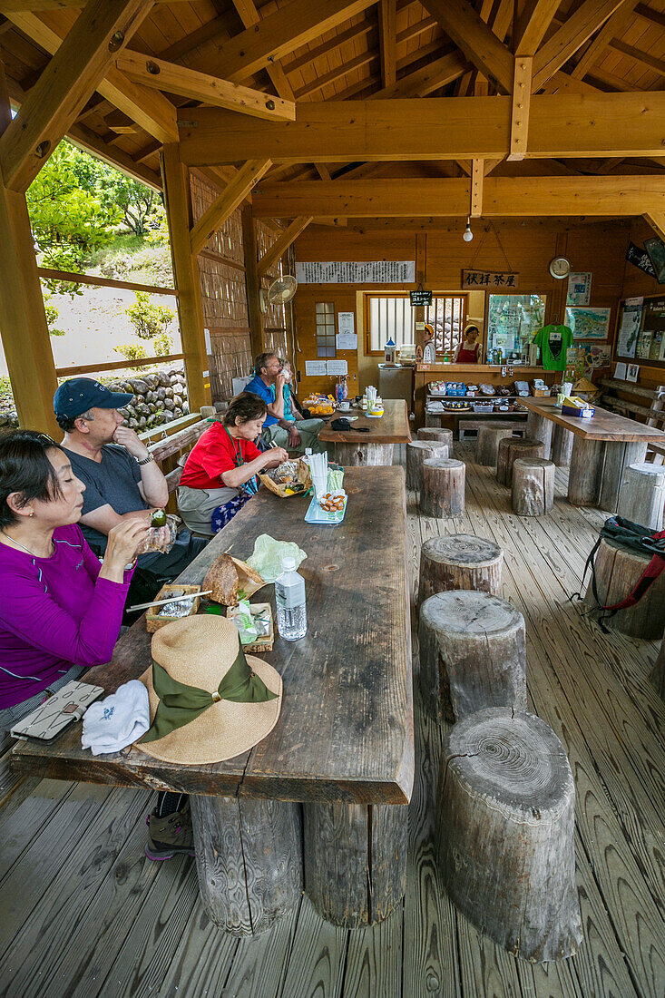 Kumano Kodo Pilgerweg. Wanderung zum Fushiogami-oji. Nakahechi. Präfektur Wakayama. Kii-Halbinsel. Kansai-Region. Honshü-Insel. UNESCO-Weltkulturerbe. Japan