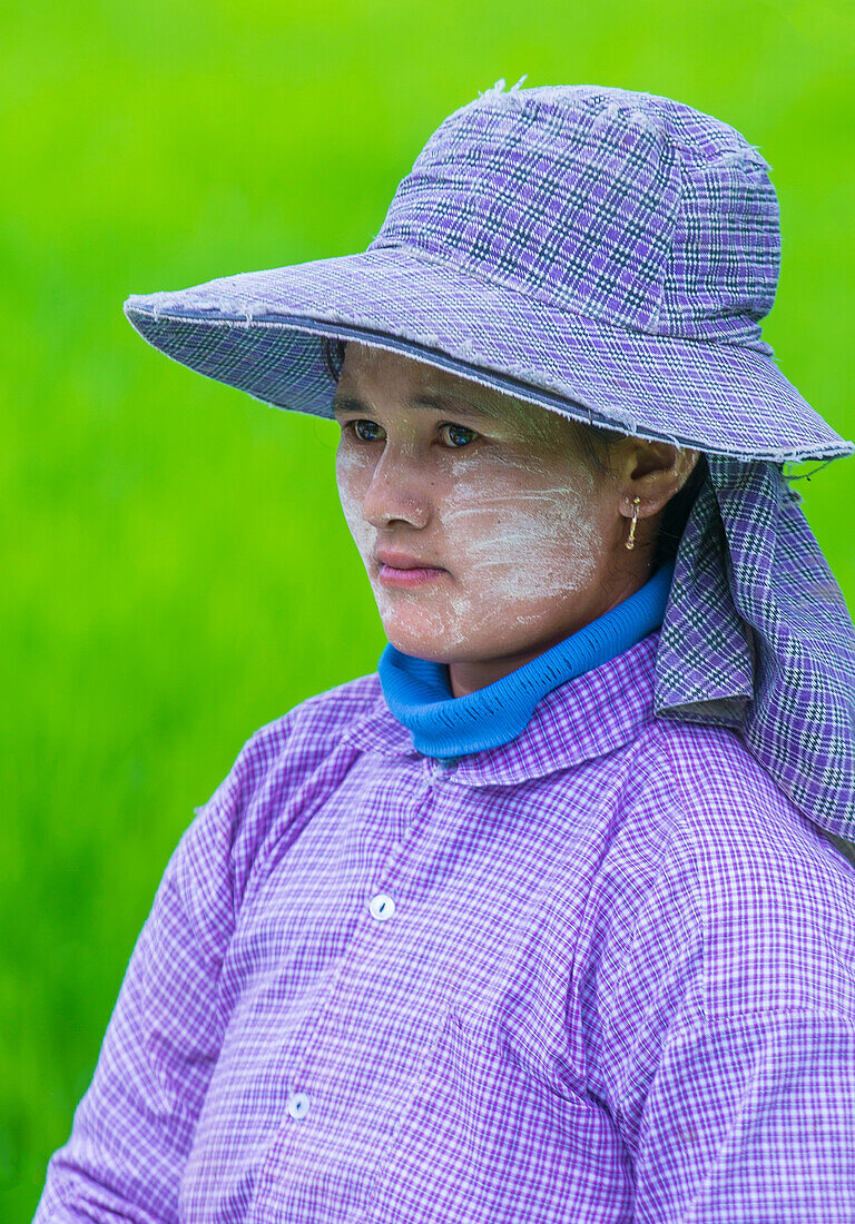 Portrait of Burmese farmer working at a rice field in Shan state Myanmar