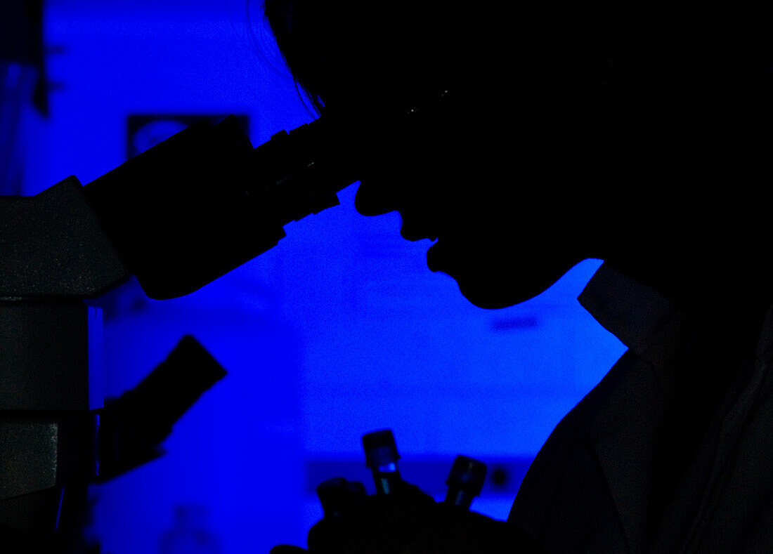 Silhouette of a person on a microscope