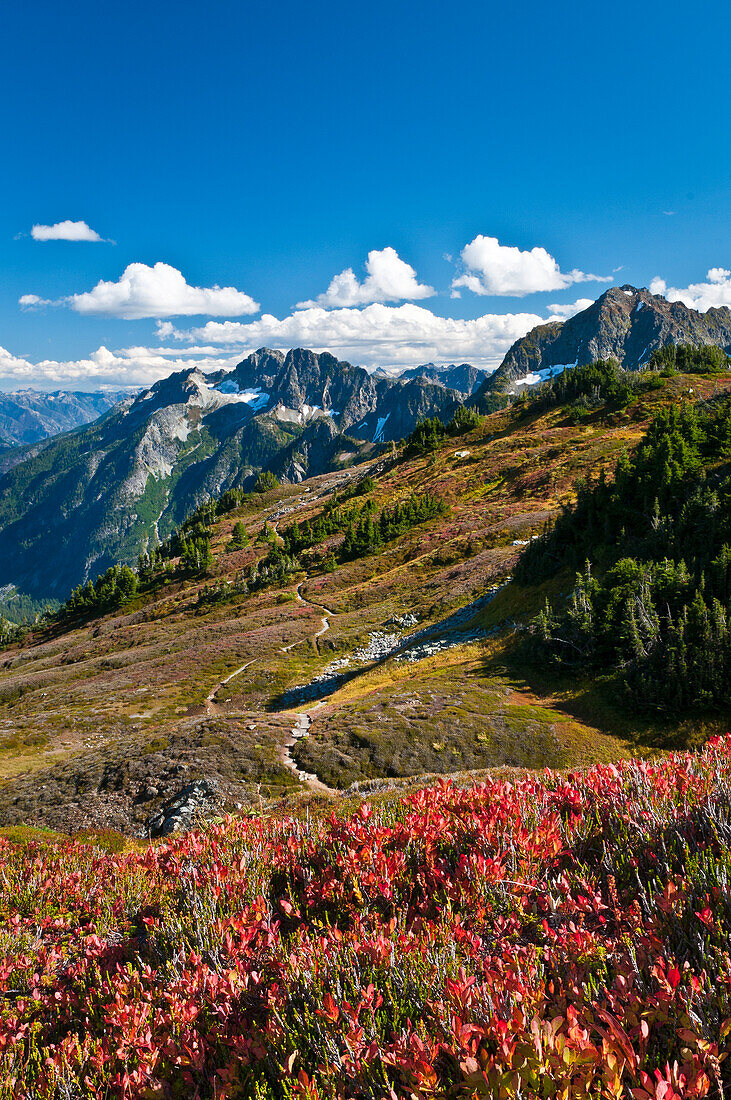 Sahale Arm Trail, Cascade Pass, North Cascades National Park, Washington.