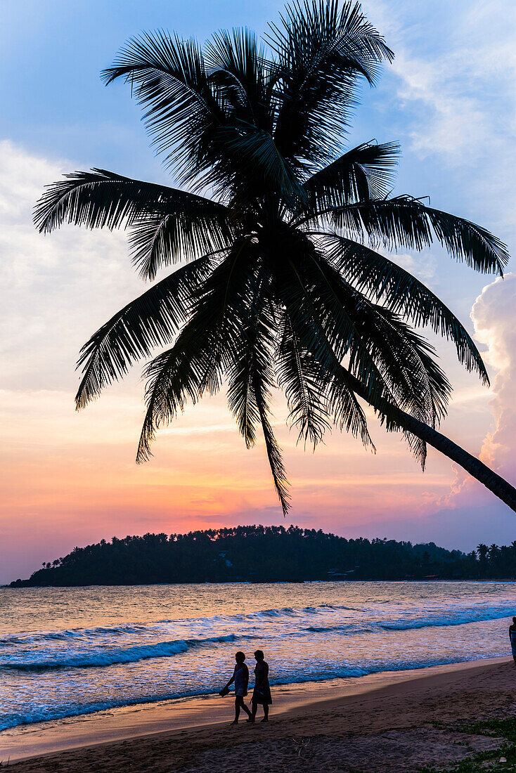 Touristen unter einer Palme am Strand von Mirissa bei Sonnenuntergang, Südküste von Sri Lanka, Südprovinz, Asien