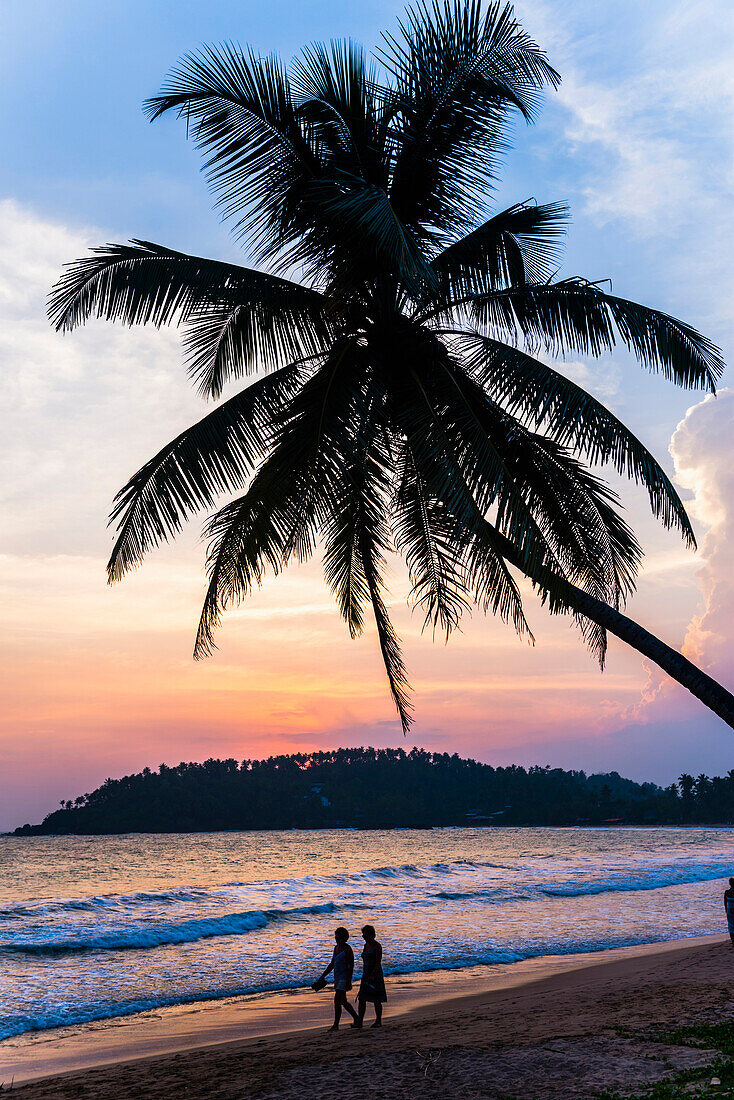 Tourists under a palm tree on Mirissa Beach at sunset, South Coast of Sri Lanka, Southern Province, Asia