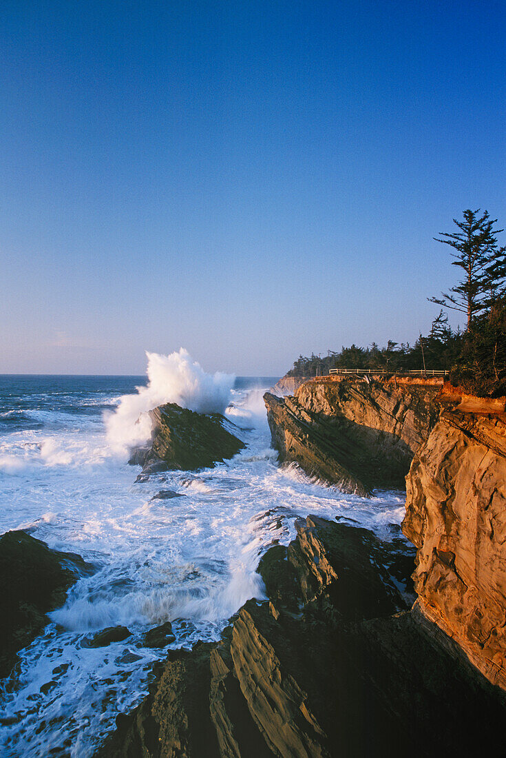 Eine Welle, die auf Felsen im Shore Acres State Park an der Küste von Oregon, USA, aufprallt.