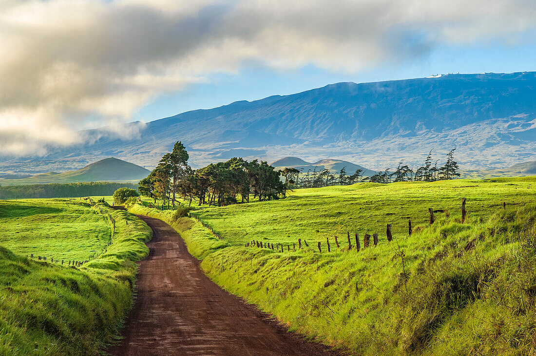 Mana Road, Waimea, Island of Hawaii.