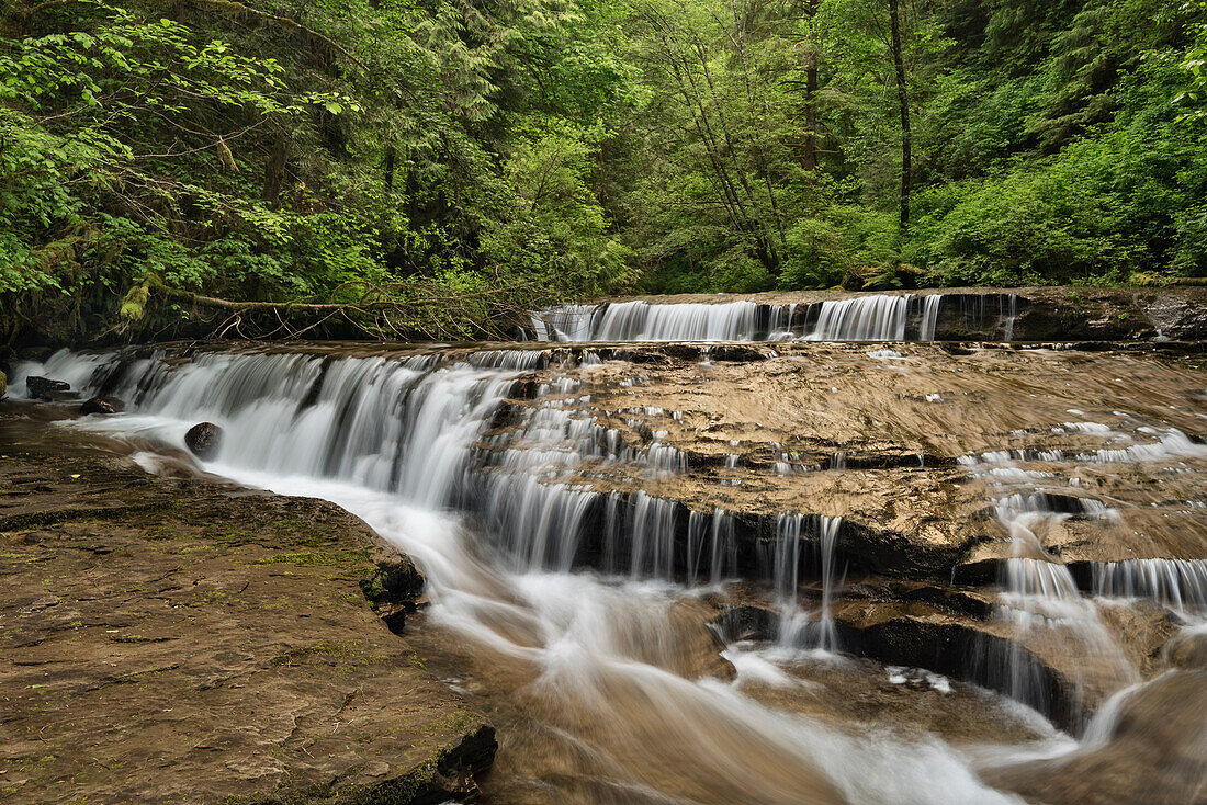 Sweet Creek waterfalls, Siuslaw National Forest, Oregon.