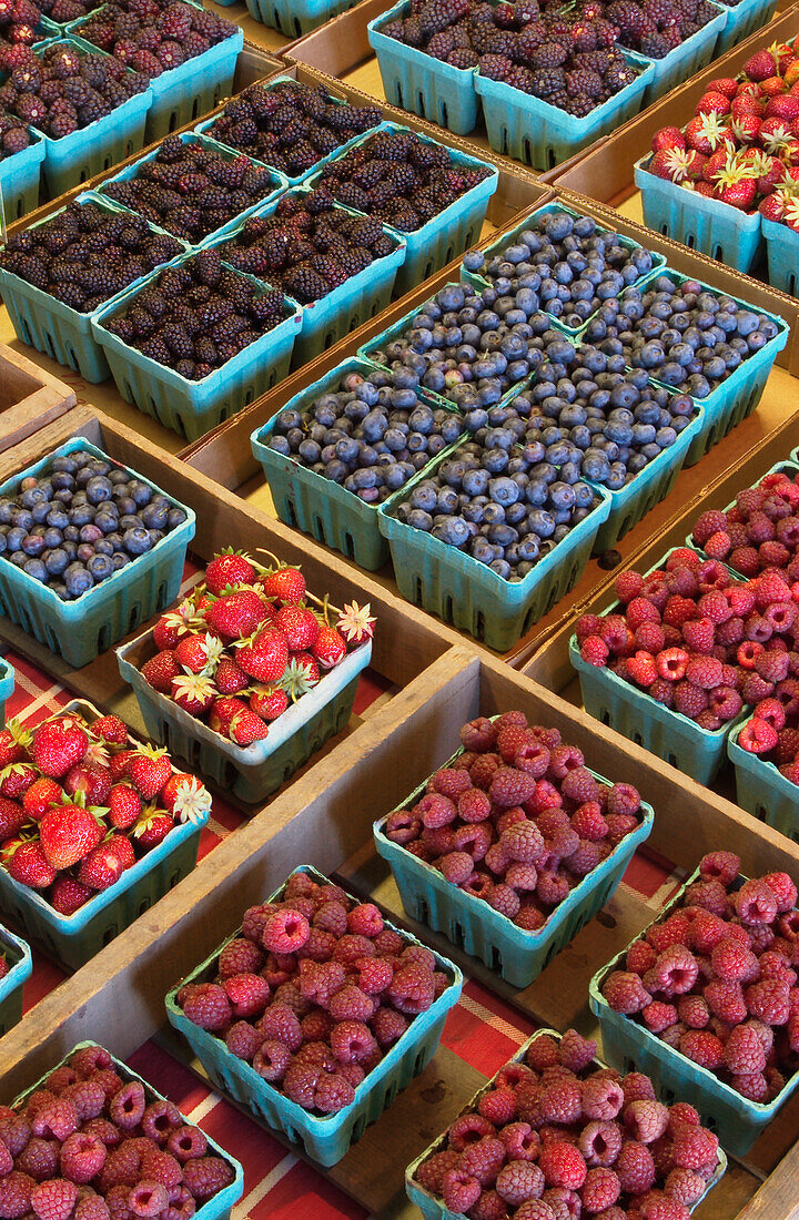 Frische Beeren bei Smith Berry Barn: Marionbeeren, Boysenbeeren, Himbeeren, Brombeeren, Heidelbeeren, Erdbeeren; Hillsboro, Washington County, Oregon. .