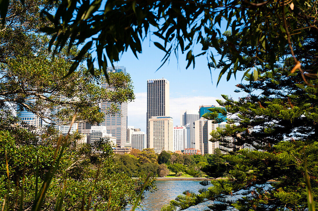 Blick auf das Stadtzentrum von Sydney von den Sydney Royal Botanic Gardens, Australien. Die Royal Botanic Gardens in Sydney sind grün, weitläufig und bieten einen atemberaubenden Blick über den Hafen von Sydney auf das Opernhaus, die Sydney Harbour Bridge und die Bereiche CBD und Circular Quay.