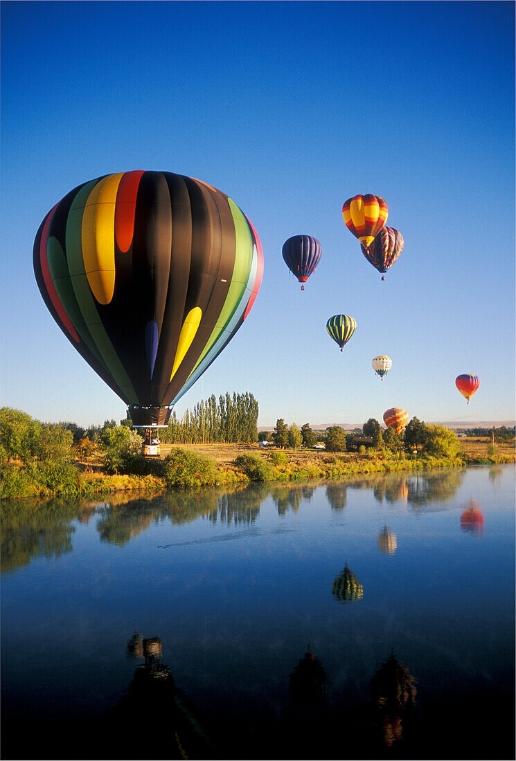 Heißluftballons über dem Yakima River während der jährlichen Prosser Balloon Rally & Harvest Festival; Yakima Valley, Washington.