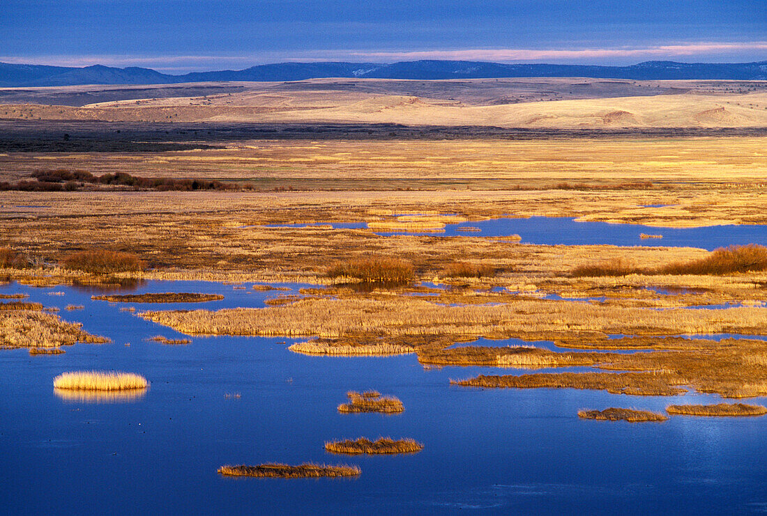 Buena Vista Ponds at sunrise from Buena Vista Lookout, Malheur National Wildlife Refuge, southeastern Oregon..